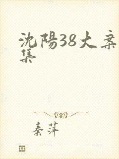 沈阳38大案全集