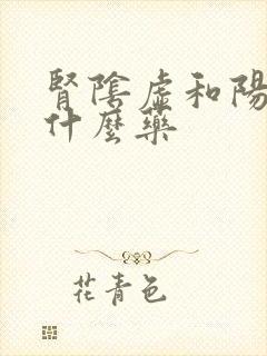 肾阴虚和阳虚吃什么药