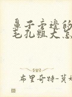 鼻子旁边的脸颊毛孔粗大怎么办