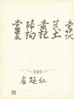 当归黄芪党参红枣枸杞土茯苓封面