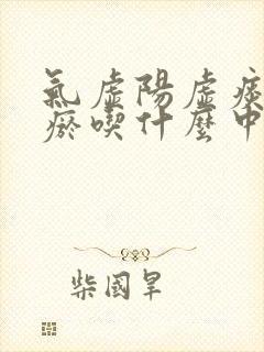 气虚阳虚痰湿血瘀吃什么中成药