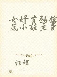 女婿有劲枪枪到底小说免费阅读封面