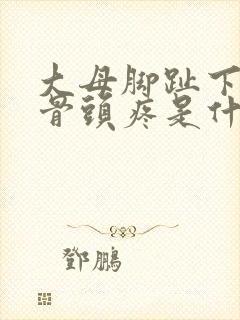 大母脚趾下边圆骨头疼是什么原因
