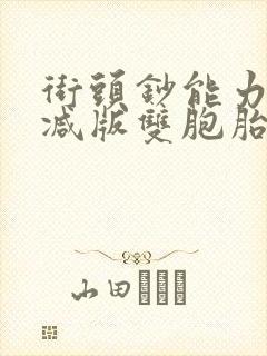 街头钞能力无删减版双胞胎