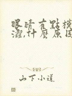 眼睛有点模糊干涩,什么原因