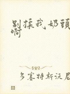 别揉我奶头 嗯啊