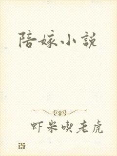 陪嫁小说