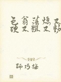 色翁荡熄又大又硬又粗又动态图