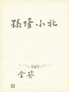 孙倩小北封面