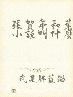 张贺年和叶繁姿小说叫什么名字