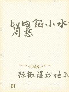 by肉馅小水饺周慈封面