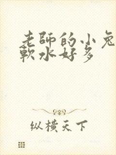 老师的小兔子好软水好多