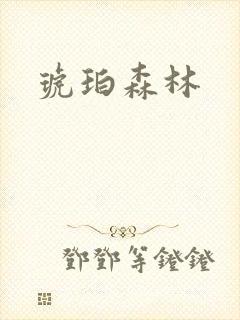 琥珀森林