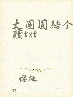 大团圆结全文阅读txt封面