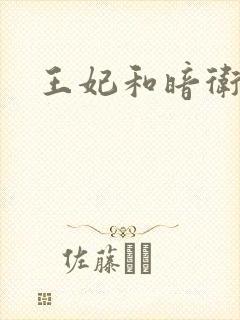 王妃和暗卫野H