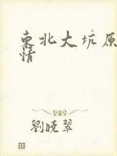 东北大坑原始激情