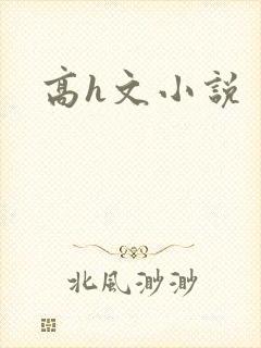 高h文小说封面