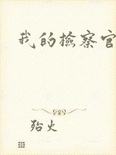 我的检察官先生封面