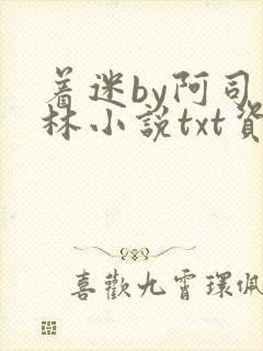 着迷by阿司匹林小说txt资源