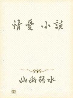 情爱 小说
