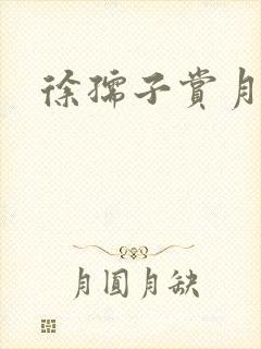 徐孺子赏月