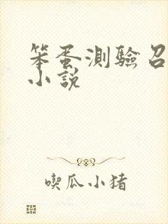 笨蛋测验召唤兽小说