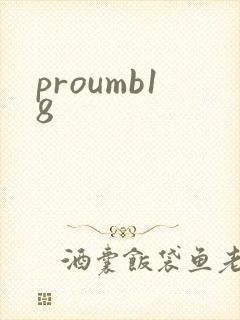 proumb18封面