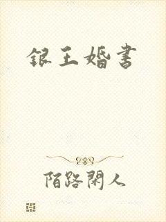 银王婚书封面