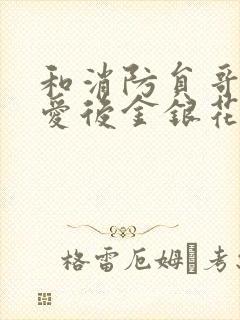 和消防员哥哥恋爱后金银花趣笔阁封面
