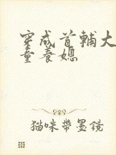 穿成首辅大人的童养媳
