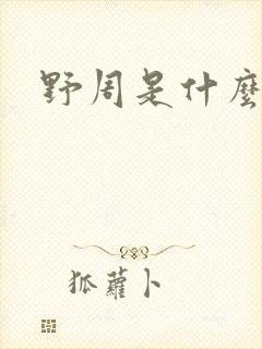 野周是什么意思封面