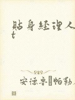 贴身经理人txt