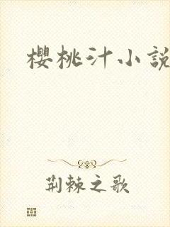 樱桃汁小说