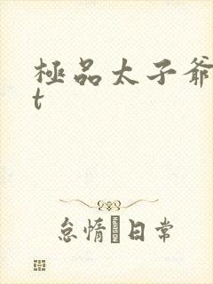 极品太子爷txt