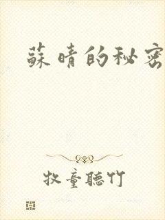 苏晴的秘密小说