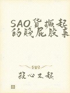 SAO货撅起你的贱屁股来