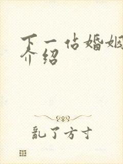 下一站婚姻剧情介绍
