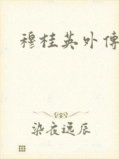 穆桂英外传