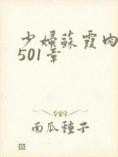少妇苏霞肉欲第501章