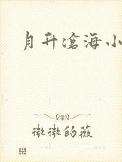 月升沧海小说封面