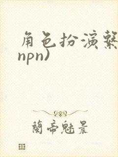 角色扮演系统(npn)