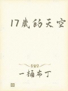 17岁的天空