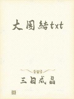 大团结txt