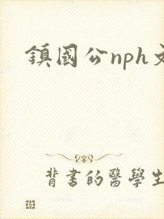 镇国公nph文封面