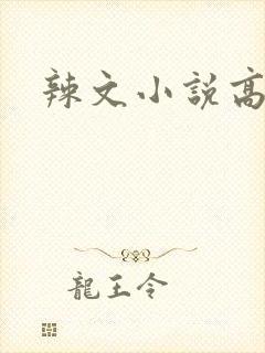 辣文小说高h封面