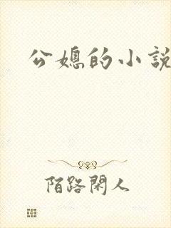 公媳的小说
