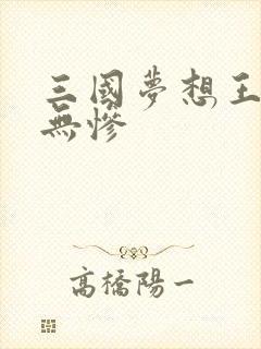 三国梦想王元姬无惨