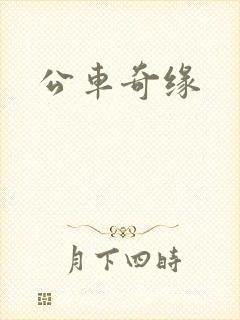 公车奇缘