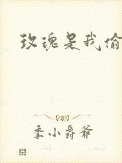 玫瑰是我偷的