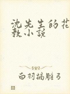 沈先生的花式管教小说封面